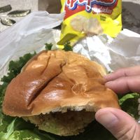 Vegana burger. comes with bag of crisps   at Villa Burger in Monteverde