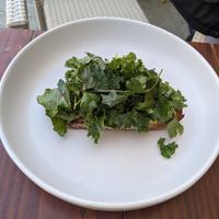 Avo toast at Mejorana Cocina Temporal in Oaxaca