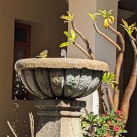 Fountain at Mejorana Cocina Temporal in Oaxaca