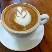 Coffee #Veganuary at Nourished Cafe and Lounge in North Narrabeen