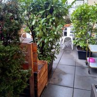 Blick in den Außenbereich links vorm Eingang at Stück Vom Glück in Berlin