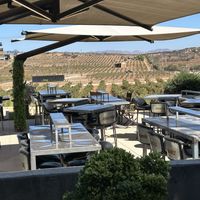 View across vineyard   at King & Queen in Villa De Juarez