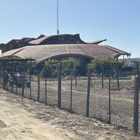 From outta space!  at Alximia in Villa De Juarez