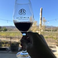 Vino  at Alximia in Villa De Juarez