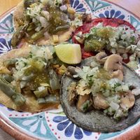 Tacos with cactus & potato and mushrooms (without cheese)   at Ta'Kool in Sevilla