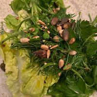 Small salad  at Mildreds - Covent Garden in London