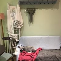 Lenny  at Bread and Butterflies in West Bridgford