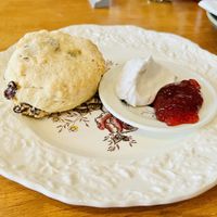 Fruit scone, coconut cream and jam  at Bread and Butterflies in West Bridgford