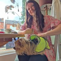  at Bread and Butterflies in West Bridgford