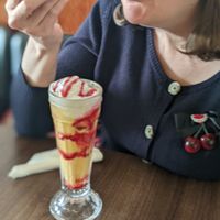 Vegan Sundaes are a delight! at Cadwaladers in Porthcawl