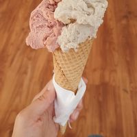 Vegan ice cream and waffle cone at Thildas Eis in Darmstadt