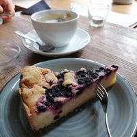  at Schuknecht in Darmstadt