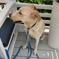   at Zwycięska 9 in Wroclaw