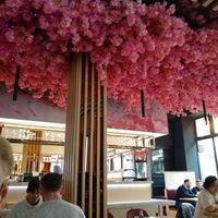  at Maki & Ramen in Glasgow