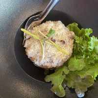   at Vegan Vogue in Bangalore