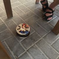 Mückenschutz  at Haroo Korean Restaurant in Langkawi