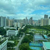  at Young Vegan - 有样纯素西点 in Shenzhen