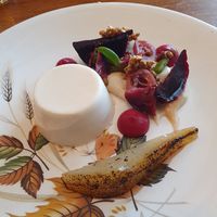  at Foxglove in Barmouth