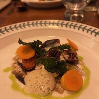   at Foxglove in Barmouth