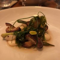   at Foxglove in Barmouth