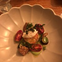   at Foxglove in Barmouth