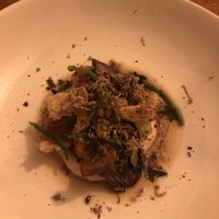   at Foxglove in Barmouth