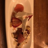   at Foxglove in Barmouth