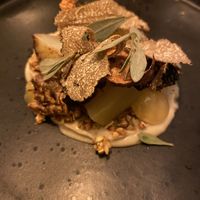   at Foxglove in Barmouth