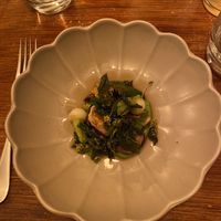   at Foxglove in Barmouth