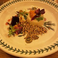   at Foxglove in Barmouth