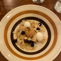   at Foxglove in Barmouth