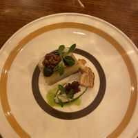   at Foxglove in Barmouth