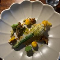   at Foxglove in Barmouth