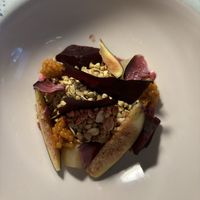   at Foxglove in Barmouth