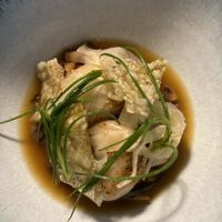   at Foxglove in Barmouth