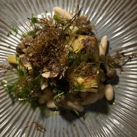   at Foxglove in Barmouth