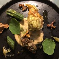   at Foxglove in Barmouth