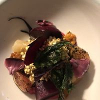   at Foxglove in Barmouth