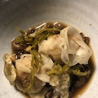   at Foxglove in Barmouth