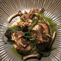   at Foxglove in Barmouth