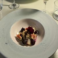   at Foxglove in Barmouth