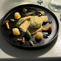   at Foxglove in Barmouth