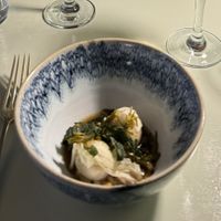   at Foxglove in Barmouth