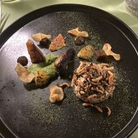  #Veganuary at Foxglove in Barmouth