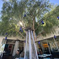 Outdoor patio vibes #Veganuary at Pueblo in San Diego