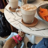 Adaptogenic hot chocolate at Rise Plant Kitchen + Movement Studio in Malvern