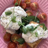 Tofu Benedict  at Rise Plant Kitchen + Movement Studio in Malvern