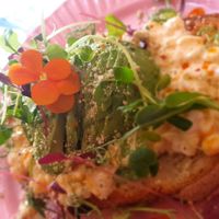  at Rise Plant Kitchen + Movement Studio in Malvern