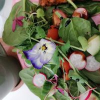  at Rise Plant Kitchen + Movement Studio in Malvern