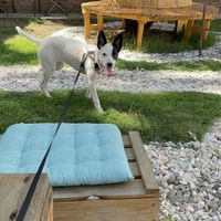   at Vrote in Montevideo